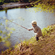 8. "   -    ,    ,    ")))