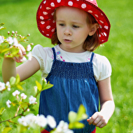 21-05-2012-web (3).jpg