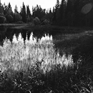 Demidovy web 012.jpg