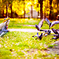 DSC_5890 1 ���.jpg