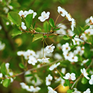 21-05-2012-web (9).jpg