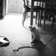 Antosha Zhenya web 133.jpg