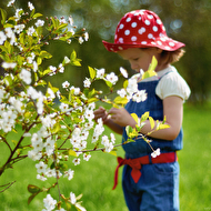 21-05-2012-web (5).jpg