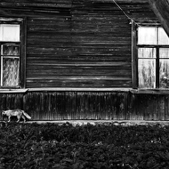 summer 14 web 061.jpg