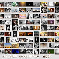 bicfp-top-100-2015.jpg