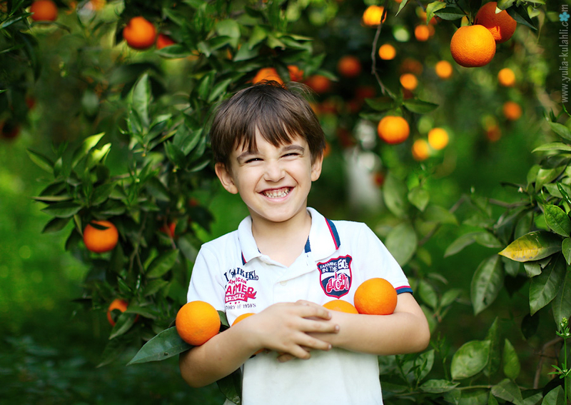 Сын мандарина. Мальчик с апельсином. Апельсин для детей. Сад с апельсинами. Фотосессия в мандариновом саду.